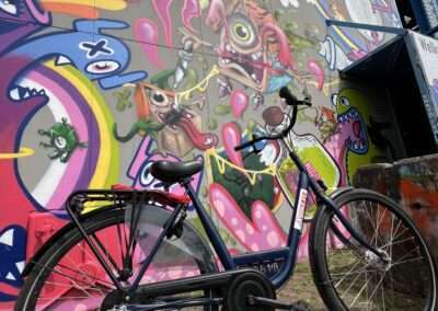 Urban Bike Tour with Graffiti art