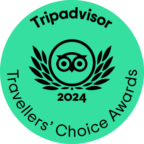 Mike's Bike Tours Amsterdam Award Mike's Bike Tours Travellers Choice Award 2021